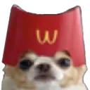 McDog
