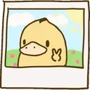 DuckPhoto