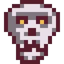 SSAHskull