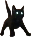 A small black kitten standing in a startled pose with bright glowing white eyes.
