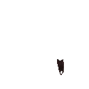 donot animated emote | ✦ Celestveil ✦