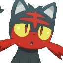 litten_huh
