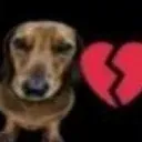 heartbrokenDog