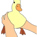 SacrificialDuck