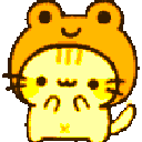 798294rainbowfroggykitty