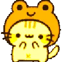 798294rainbowfroggykitty