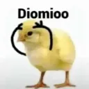 Diomioo