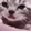 sadCat sadCat