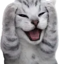 mohmymeo