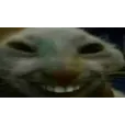 xdd2x