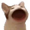 popCat3x