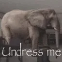 undressme