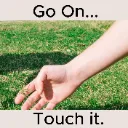 touchgrass