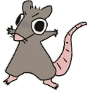 rat