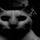 7243381f199749b043272859401406c8