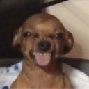 __ Discord Emoji - ঌ𝔏𝔞𝔵𝔞𝔫𝔳𝔢𝔯𝔢 𝔥𝔞𝔰𝔭𝔦𝔱𝔞𝔩 .