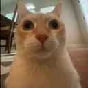 emoji_20