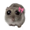 hamsterbow