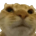 No No