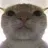 1475973823365906615 1475973823365906615