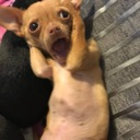 emoji_4 Discord Emoji - Hejteri CODM