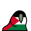 palestineparrot