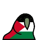 palestineparrot