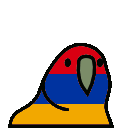 armenianparrot