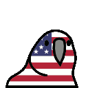 usaparrot