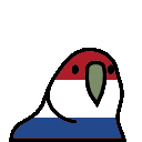 dutchparrot