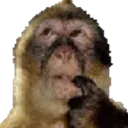 monkeythink