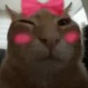 buhcute