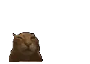 buhhop