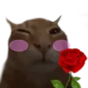 buhFlower