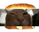 buhgir buhgir