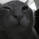 GIGABUH
