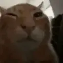 buhCheck