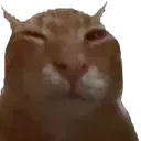 buhdie buhdie