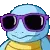 SquirtleCool SquirtleCool