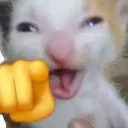 lol