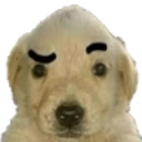 perro_como Discord emoji