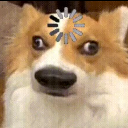 A dog with wide, blank eyes and a circular loading animation icon centered on its forehead.