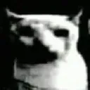 felixcat felixcat