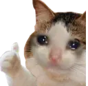 okcry