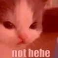 nothehe