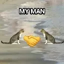my_mancat
