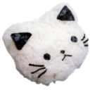 :Rice_Cat: