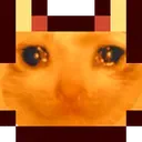 SSAHsadcat
