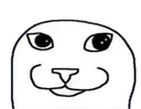 soycat