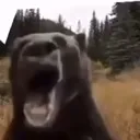 scream